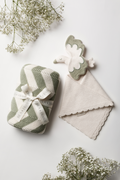 Sage Chevron Blanket & Stork Bundle