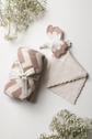 Rose Chevron Blanket & Stork Bundle