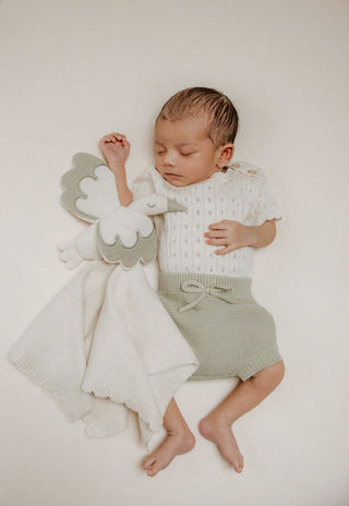 Organic Cotton Baby Stork Comforter - Oat/Sage